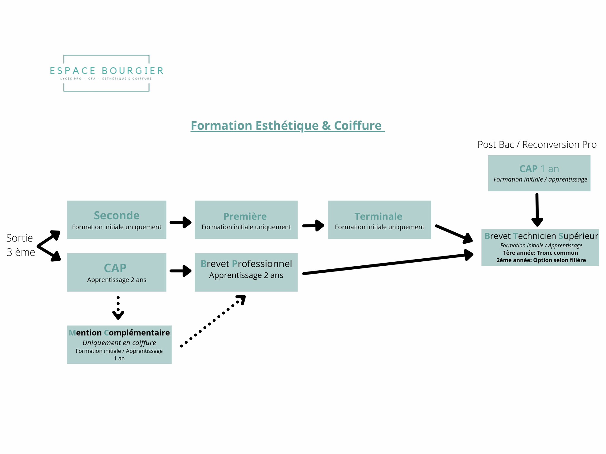 organigramme des formations
